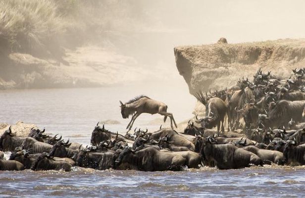 5 Days 4 Nights Tarangire, Serengeti , Ngorongoro & Manyara Wildlife Safari