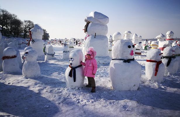 4-Day Private Harbin Tour Combo Package of Winter Highlights with Meal Options