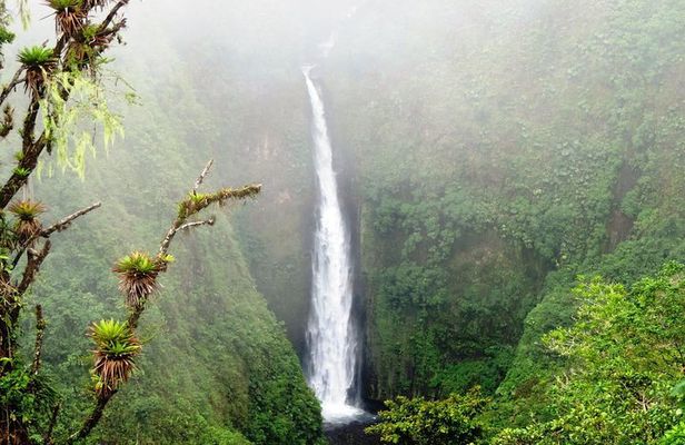 Arenal Volcano Experience Full-Day Tour from San Jose