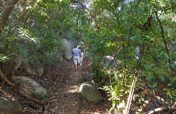 Half Day Tour Hiking La Roqueta Island and Lunch