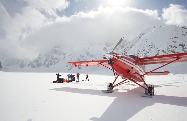 Denali Flyer Flightseeing Tour from Talkeetna