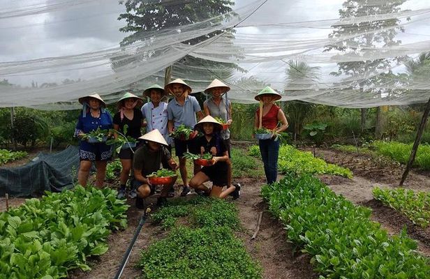 Unique farm to Table cooking class in Saigon