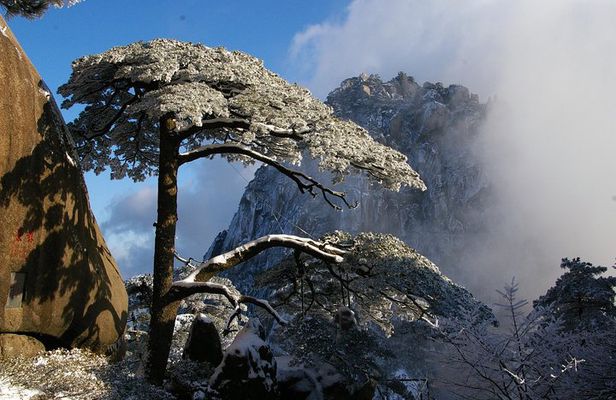 1 Day Mt Huangshan(Yellow Mountain) Group Tour-No Shopping