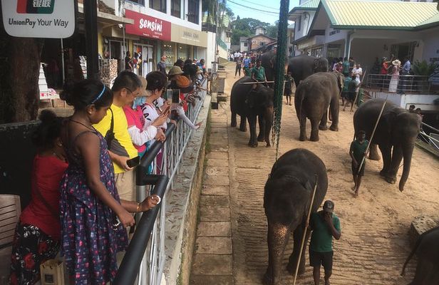 Sri Lanka round tour