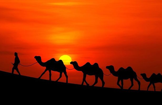 3 Days Private Marrakech to Merzouga Desert tour