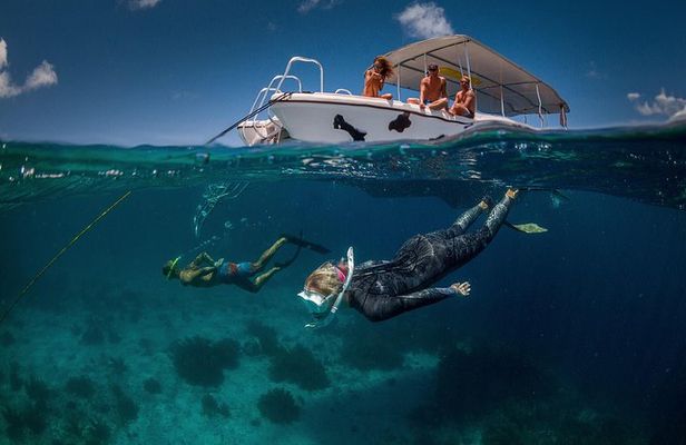 Double Dip Snorkel Trip