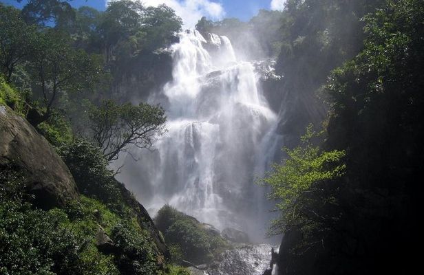 4 Days Safari to Mikumi NP and Udzungwa Mountain NP Mid - Range Accommodation