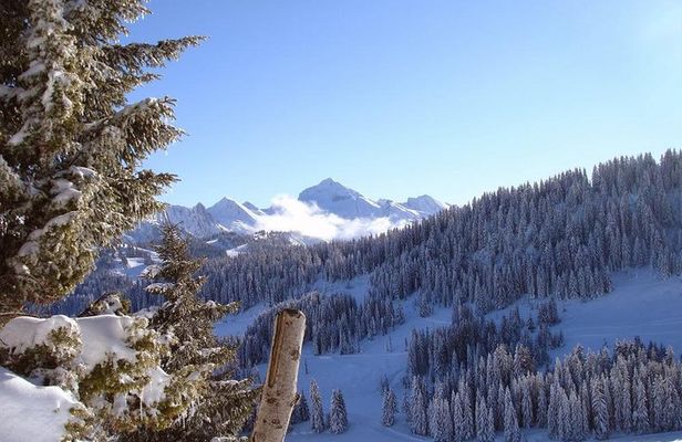 Exotic Manali Package