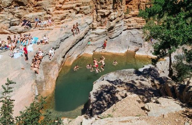 Discover Paradise Valley and local life