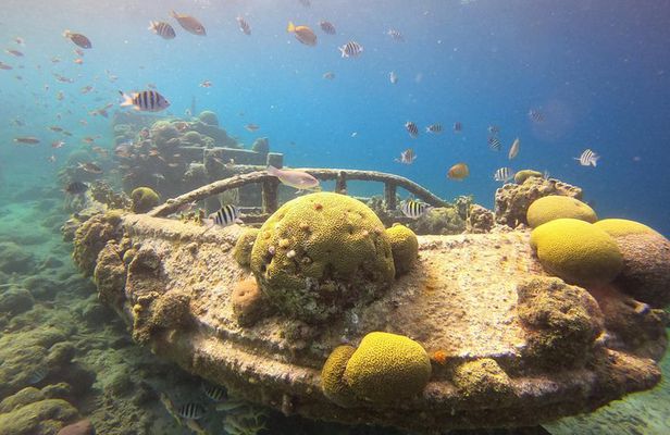 Snorkel Tour in Curacao
