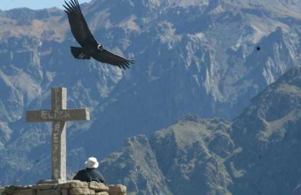 Full day Colca Canyon with Entrances from Arequipa