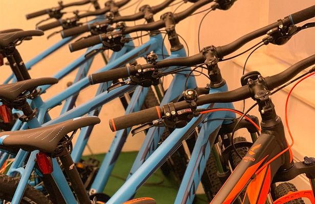 Rent a Mountain Bike in Bled