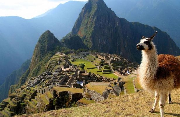 Machu Picchu Private Service