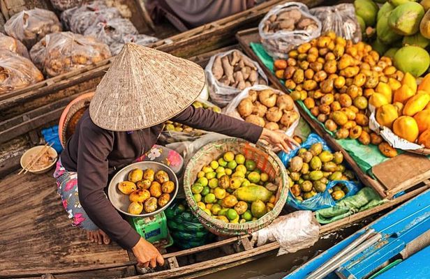 Mekong delta 1day
