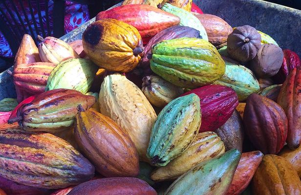Chocolate and Cobblestones Tour with Taste of San Miguel
