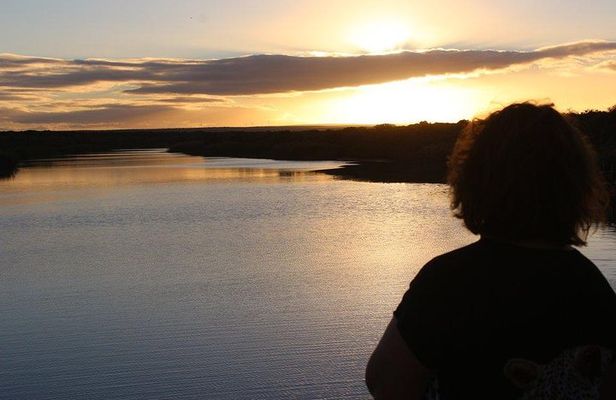 Addo Elephant National Park and Sunset River Cruise - FD04
