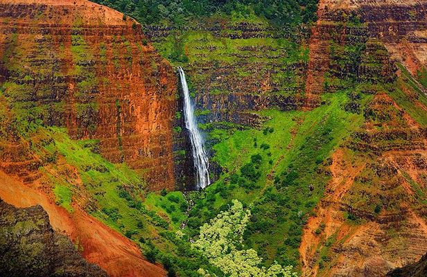 Kauai Waimea Canyon and Koke'e Tour