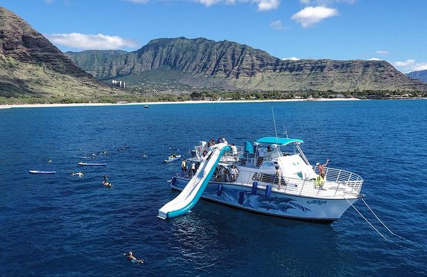Private Dolphin Swim with Slide for up to 15 Passengers
