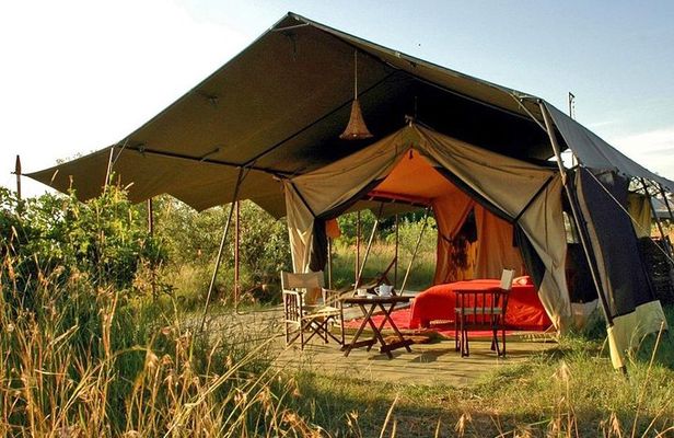 Masai Mara Game Reserve Safari Tour, 4 Days 3 Nights