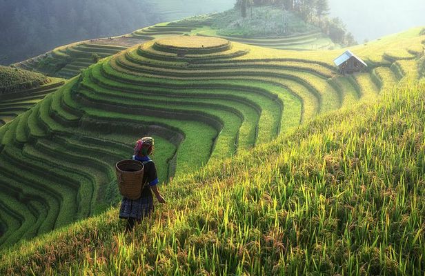 Sapa Trekking 3 Days 2 Nights by Bus - Homestay & Hotel