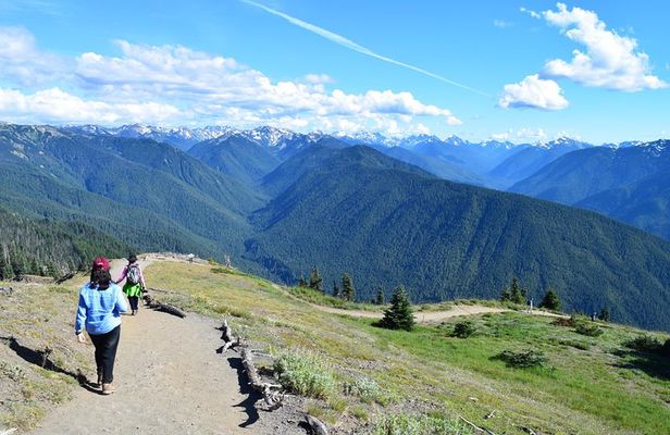 Sol Duc, Lake Crescent, and Hurricane Ridge Guided Tour in Olympic National Park