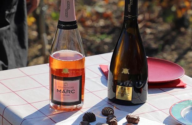 A unique sensory experience in the vineyards