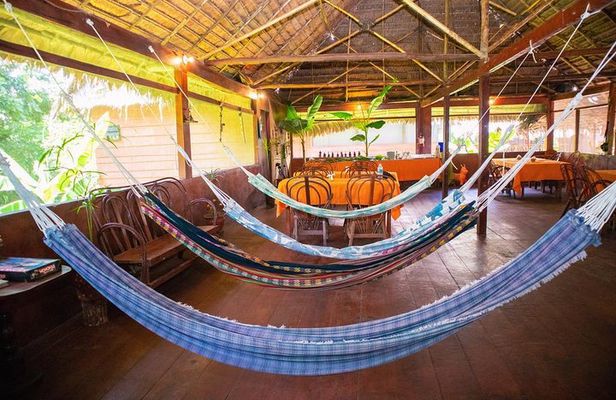 2-Day Amazon Jungle Tour at Avatar Amazon Lodge