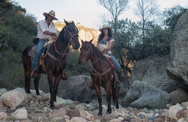Half-Day Horseback Riding Adventure