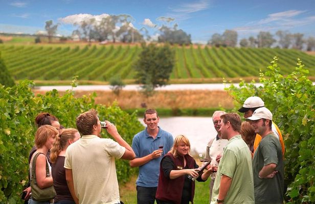Yarra Valley Wine & Winery Tour from Melbourne - All Inclusive!