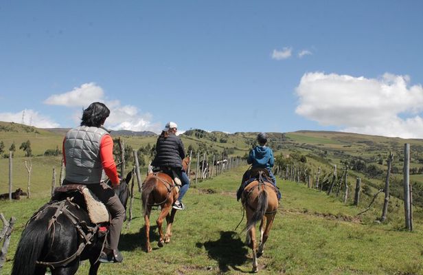 Roses & Horseback Riding (PRIVATE Day Trip from Quito)