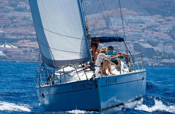 Tenerife 3-Hour Discover Whales and Dolphins