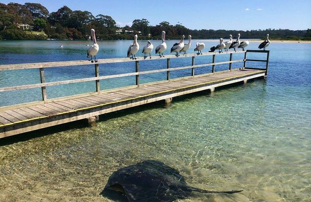The Eurobodalla Experience (Full day private tour including lunch)
