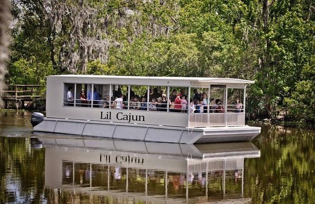 New Orleans Swamp and Bayou Sightseeing Tour with Transportation