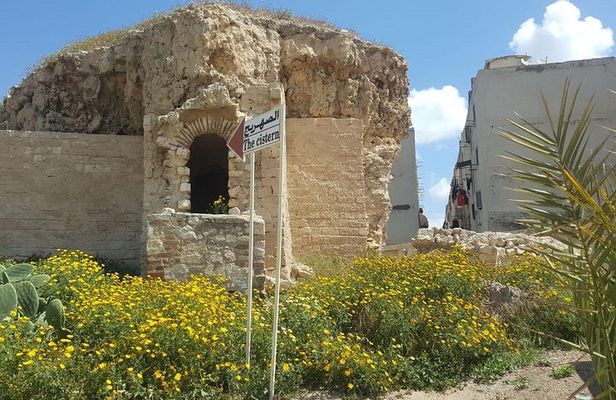 Alexandria Day Trip from Cairo: Catacombs, Citadel & Library