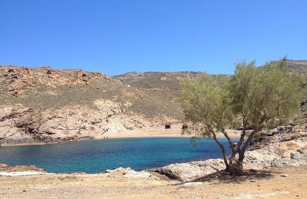 Private Only: Panoramic and Tasting Experience