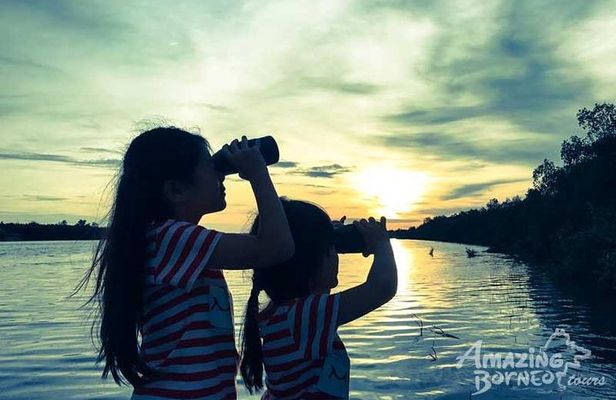 Klias Wildlife Safari River Cruise - Proboscis Monkey & Fireflies