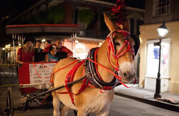 New Orleans Small-Group Haunted History Carriage Tour