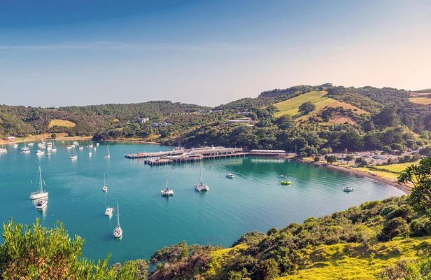 Private Tour - Waiheke Island Luxury Experience