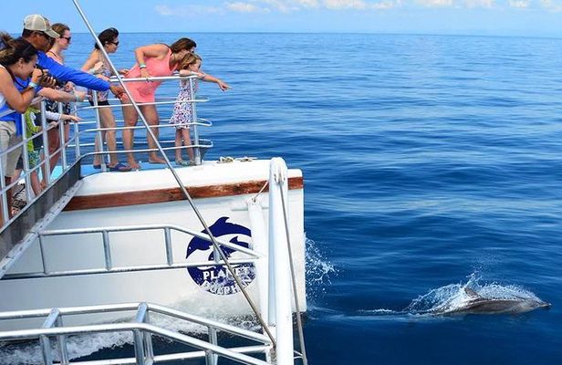 All Inclusive Catamaran Eco Adventure from Manuel Antonio