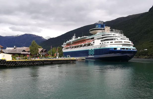 Cruise Special: Private Trip To Canyons And Waterfalls With Flåm Railway