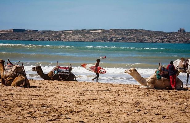 Full day Tour Essaouira Day Tour from Marrakech