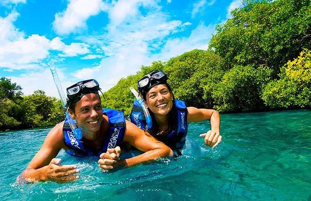 Xelha Snorkel Adventure! Gorgeous & Natural From Playa Del Carmen