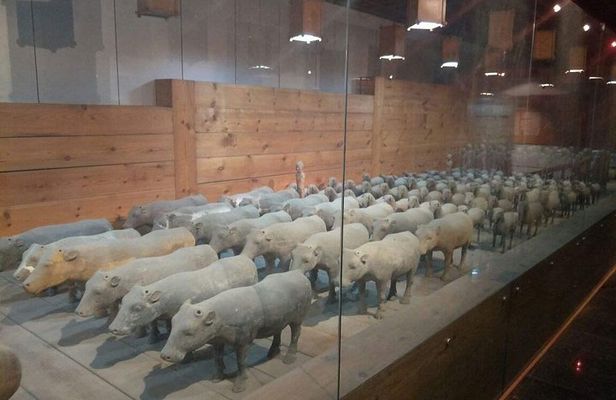 Private Day Trip to Terracotta Warriors and Jingdis Tomb