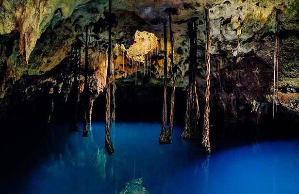 Sacred Adventure at Xenotes! 4 Different Cenotes + Round Transportation