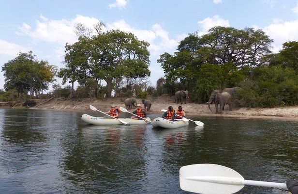 Upper Zambezi Canoeing