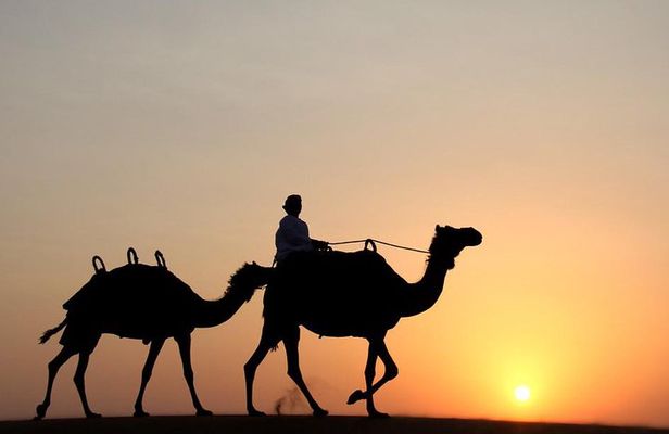 Desert Safari Dubai