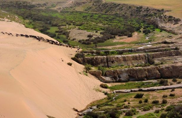 Walk between Argan Forest, Ocean & Waterfalls. 12 km