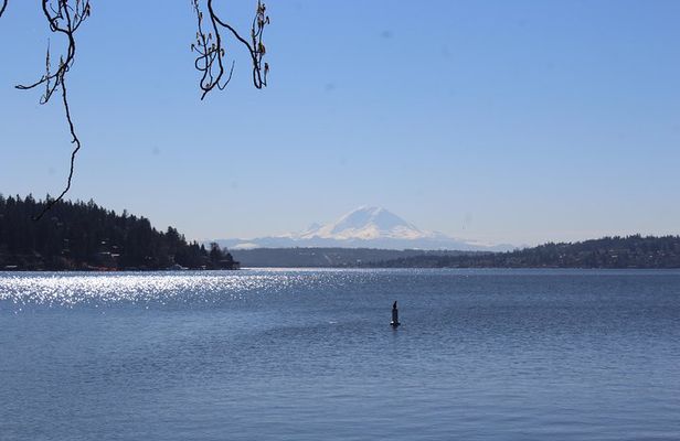 Lake, Old Growth Trees and Columbia City: Beautiful Natural Spaces and History