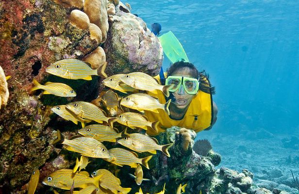 Mayan Adventure Snorkeling Tour from Playa del Carmen or Riviera Maya