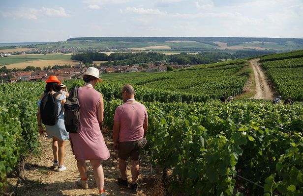 Gourmet walk in the heart of the vineyards with Champagne tasting near Epernay